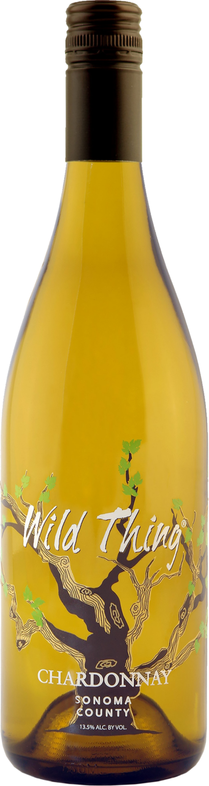 Image of Bottle
