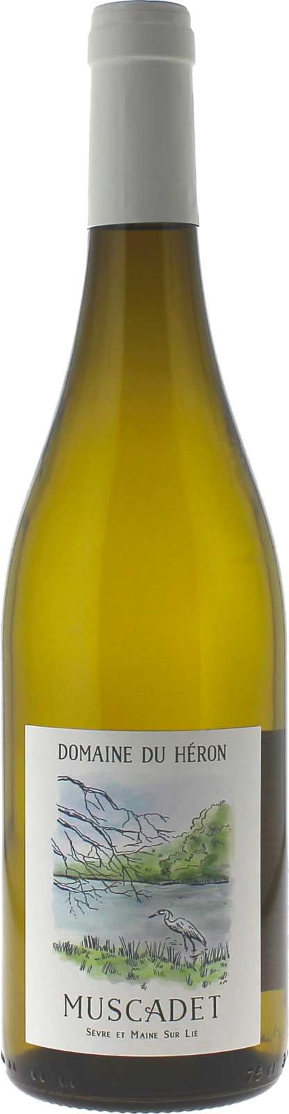 Image of Bottle
