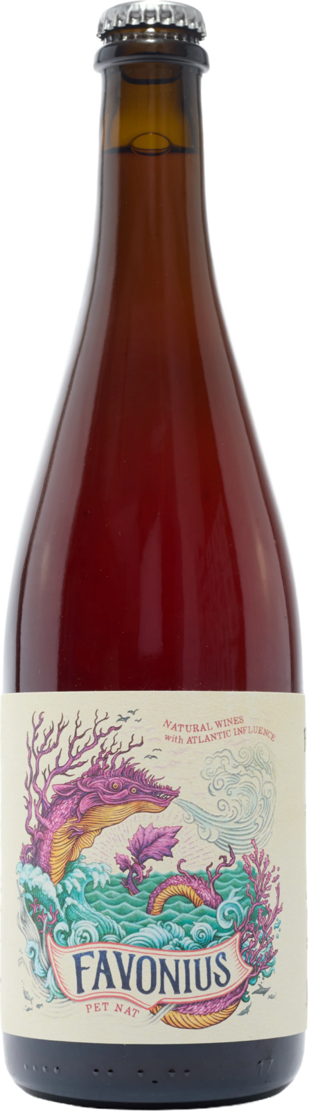 Image of Bottle